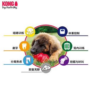 KONG美国进口橡胶经典葫芦漏食球宠物大中型犬加强耐咬磨牙狗玩具（加强款 L号（13~30kg））