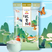 金龙鱼 臻选 软香稻大米 5kg