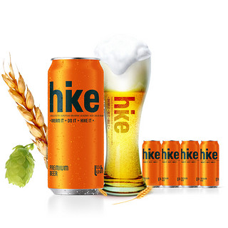 Hike 海客 嗨的时间（hike）乌克兰 原瓶进口 精酿啤酒 纯麦原浆500ml*4听
