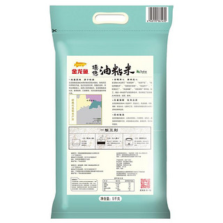 金龙鱼 臻选 油粘米 广西香米 5kg