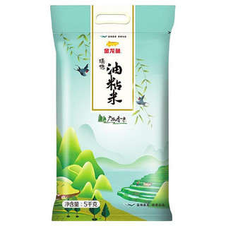 金龙鱼 臻选 油粘米 广西香米 5kg