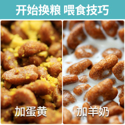 凯锐思 成猫专用猫粮成年鱼肉增肥发腮营养全价10kg20斤装