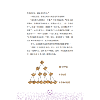 《数学真好玩·提高篇》