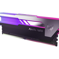 PREDATOR 宏碁掠夺者 星际迷幻系列 DDR4 4000MHz RGB 台式机内存 灯条 紫色 16GB 8GBx2 BL.9BWWR.229