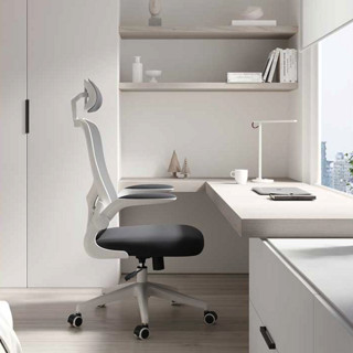 HBADA 黑白调 轻灵系列 HDNY163WG 人体工学电脑椅 冰岛白 升级款