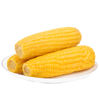 众天 东北熟糯玉米 6根