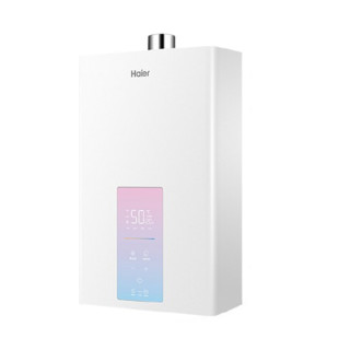 Haier 海尔 WDS系列 燃气热水器