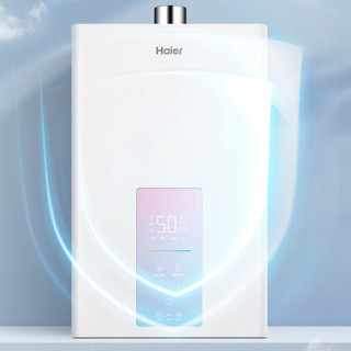 Haier 海尔 WDS系列 燃气热水器