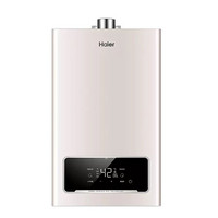 Haier 海尔 DM3系列 燃气热水器