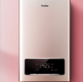 Haier 海尔 JSQ30-16DM3(12T)U1 燃气热水器 16L