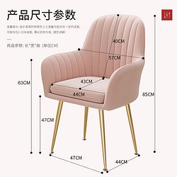 LISM 北欧ins椅子网红化妆椅简易书桌椅梳妆椅餐椅家用餐厅靠背椅凳子