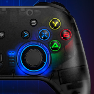 GameSir 盖世小鸡 T4-START腾讯定制款 2.4G双模游戏手柄 黑色
