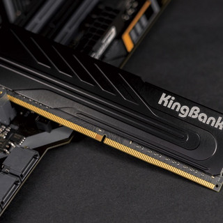 KINGBANK 金百达 黑爵战甲系列 DDR4 2666MHz 台式机内存 马甲条