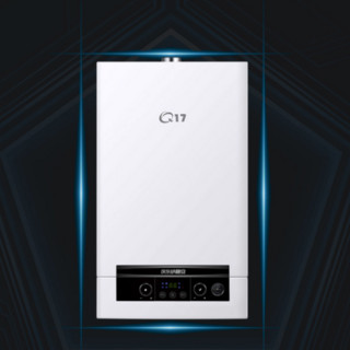 庆东纳碧安 L1PB22-Q17C 20BW 燃气壁挂炉 20kW