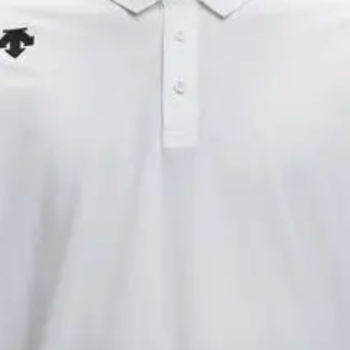 DESCENTE 迪桑特 TRAINING 男子POLO衫 D1291TPS92-WT 白色 M