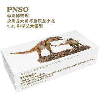 PNSO 永川龙大勇与重庆龙小北恐龙博物馆1比35科学艺术模型