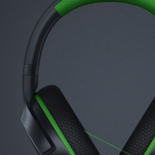 RAZER 雷蛇 噬魂鲨 耳罩式头戴式有线游戏耳机 黑色