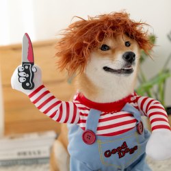 kimpets 抖音同款狗狗拿刀衣服搞笑搞怪变身装宠物网红柴犬柯基带刀