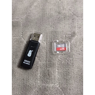 SanDisk 闪迪 SDSQUNC Micro-SD存储卡 16GB（UHS-I、A1）