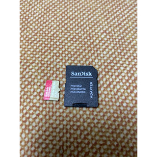 SanDisk 闪迪 SDSQXA1-ZN6AA 航拍版 Micro-SD存储卡 128GB（UHS-I、V30、U3、A2）