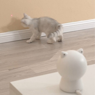PTY010 智能红光猫玩具 白色