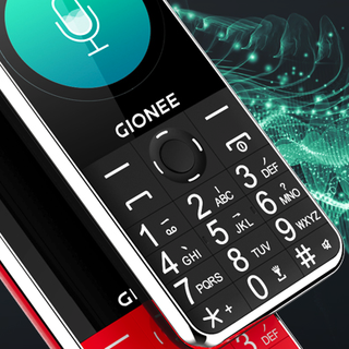 GIONEE 金立 L9+ 移动版 4G手机