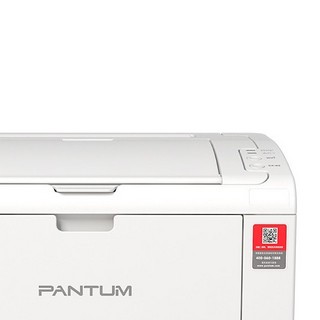 PANTUM 奔图 P2210W 黑白激光打印机