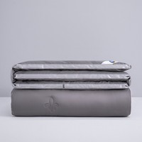 SOMERELLE 安睡宝 七孔抗菌春秋被 轻奢灰 180*220cm