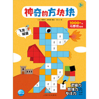 《神奇的方块块·飞龙城堡》