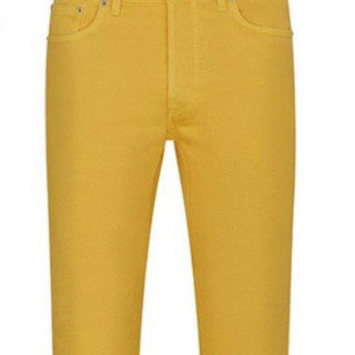 Dior 迪奥 Oblique 男士牛仔长裤 013D000A239X 黄色 31