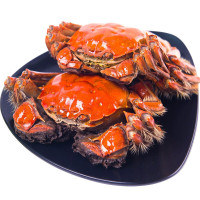 PLUS会员：姑苏蟹澄 大闸蟹礼券1688型 公蟹4.0两/只 母蟹2.8两/只 4对8只螃蟹