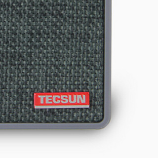 TECSUN 德生 B20 户外 蓝牙音箱 灰色