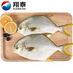 翔泰 金鲳鱼700g（2条）*4件+冬阴功鱼340g+火山石烤肠500g*4件+泰国椰青9粒（单果900g）