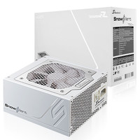seasonic 海韵 SnowSilent750 白金牌（92%）全模组ATX电源 750W