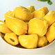 PLUS会员：沃多鲜  海南黄肉菠萝蜜 20-25斤装