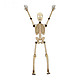 神孩子 人体骨骼拼装模型 人体骨骼模型