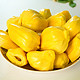 PLUS会员：沃多鲜 海南黄肉菠萝蜜 15-20斤装