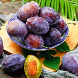 涑淇源女神西梅大果三斤装