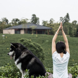 长兴开元芳草地乡村酒店 竹林双床别墅1晚（含双早）各种亲子权益套餐