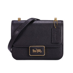 coach蔻驰99划算日coach蔻驰女士alie18马车标单肩斜挎包女包送女友