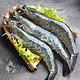 新鲜海捕大虾白虾对虾活虾  净重约3.6斤