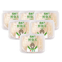 Gusong 古松食品 鲜银耳 125g*6盒