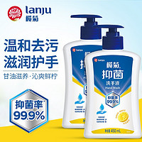 lanju 榄菊 抑菌洗手液450ml 抑菌率99.9% 洗手液泡沫便携家庭装泡泡去污含甘油温和护手补充装 2瓶装