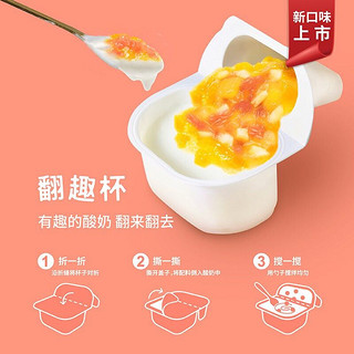 milkitada 乳鲜森 翻趣杯低温LGG酸奶（120+30g）*4杯菠萝红西柚 DIY混合无添加剂发酵鲜酪乳