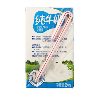 银桥 纯牛奶 250ml*10盒 礼盒装