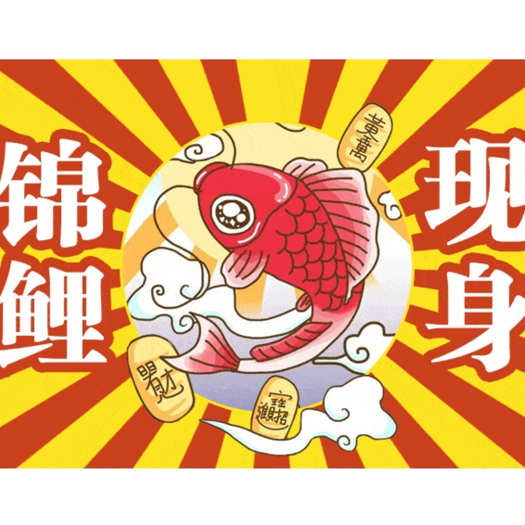 新手养鱼篇|五花八门的鱼品种,可爱、梦幻、浪漫、绅士的代名词