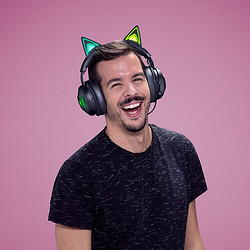 RAZER 雷蛇 北海巨妖 萌猫版 耳罩式头戴式有线降噪耳机 黑色 USB口