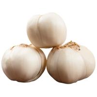 小马乐活 兰州百合 500g