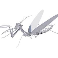 贝利雅 3D立体金属拼图-螳螂