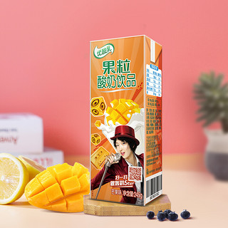 yili 伊利 优酸乳 果粒酸奶饮品 混合口味 245g*24盒